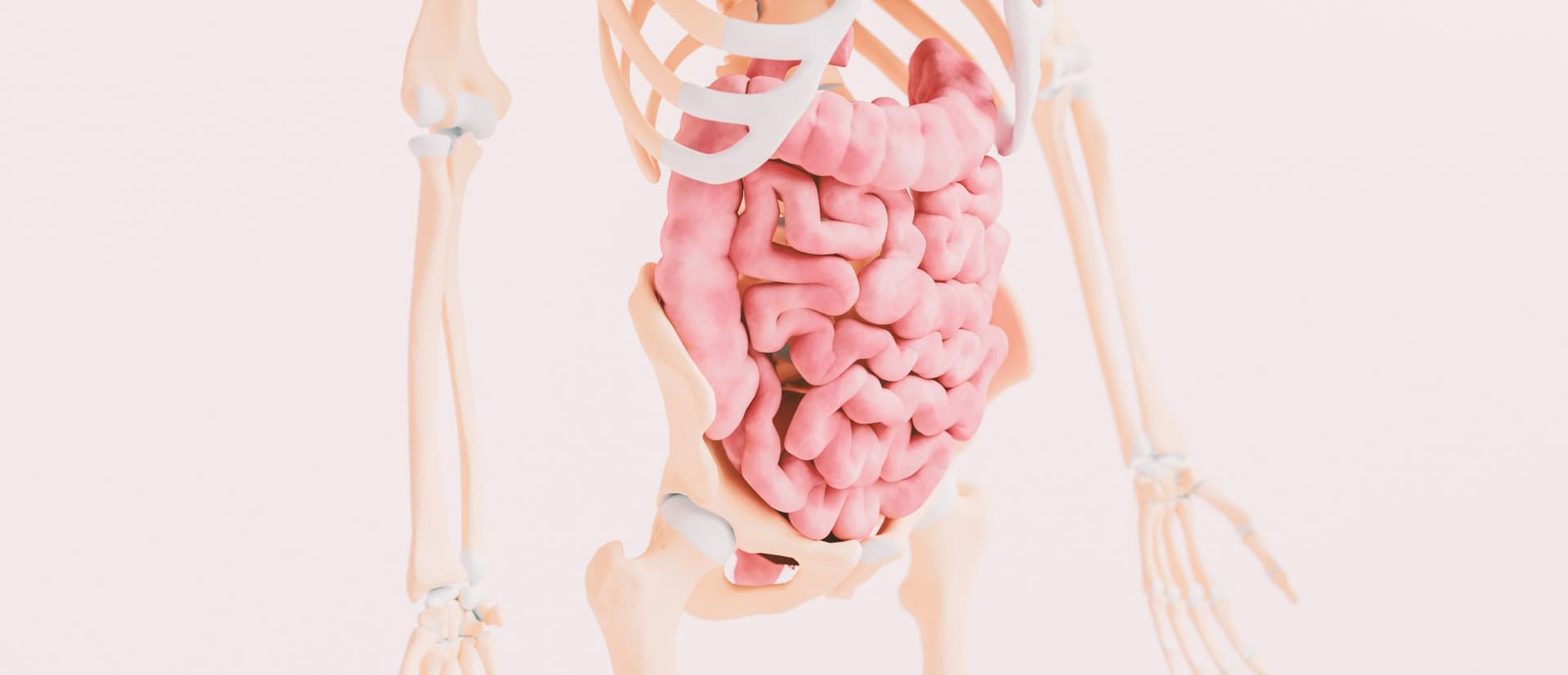 Celiakia (choroba trzewna) - objawy, diagnostyka, leczenie i dieta bezglutenowa