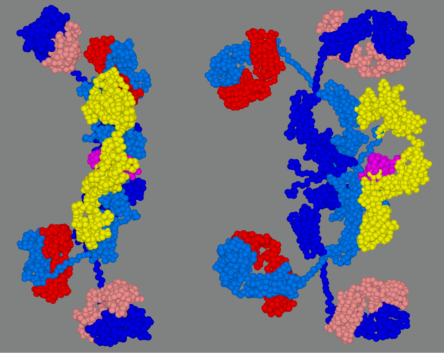 Immunoglobulina A (IgA) - badanie, norma, interpretacja wyników