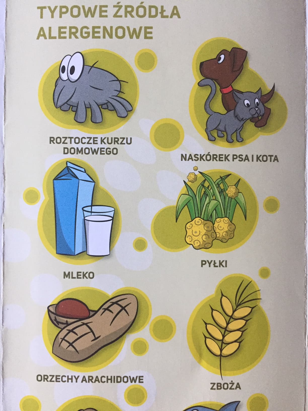 Test Alex - odkryj swoją alergię