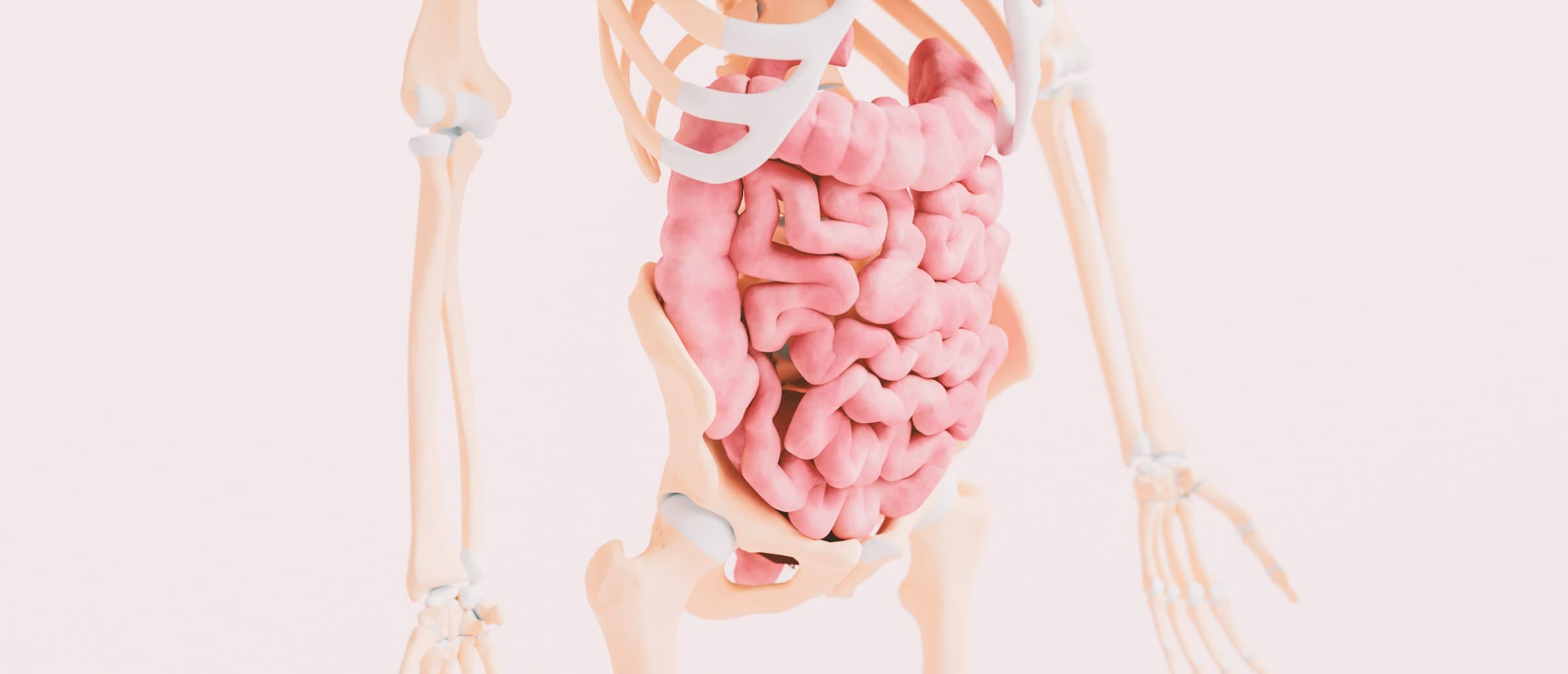 Celiakia (choroba trzewna) - objawy, diagnostyka, leczenie i dieta bezglutenowa