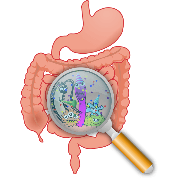 Skutki antybiotykoterapii